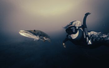 Kijkje onder water met Sander Rietmeyer