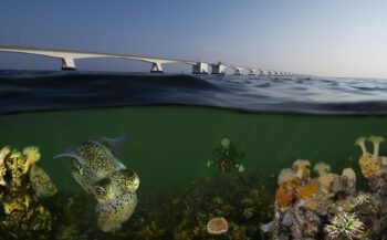 ONK Onderwaterfotografie 2021 - No Limits