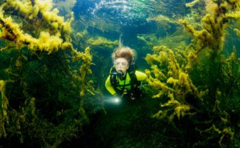 ONK Onderwaterfotografie 2021 - Zoet water