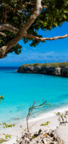 Curaçao met Diving Holidays