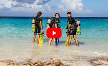 Waarom duiken op... Bonaire?