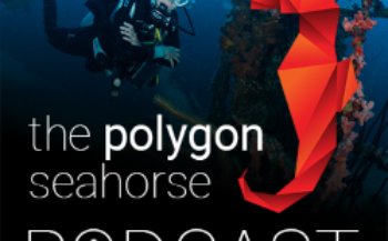 Geef je stem aan The Polygon Seahorse podcast!