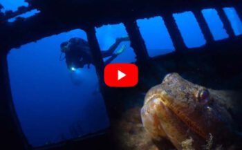 EK Onderwatervideo - De zilveren korte EK-film van Gery Beeckmans