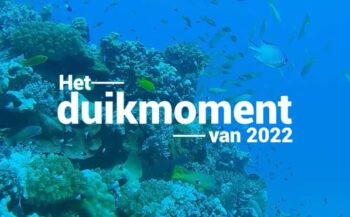 Hét duikmoment van 2022 - Koraalrif in de Rode Zee