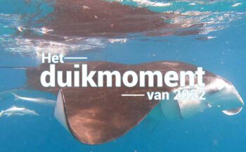 Hét duikmoment van 2022 - Voorbijtrekkende manta's