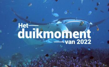 Hét duikmoment van 2022 - Manta