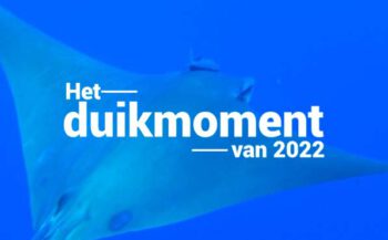 Hét duikmoment van 2022 - In the deep blue