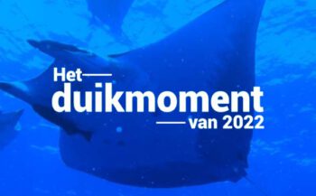 Hét duikmoment van 2022 - Tussen de manta's