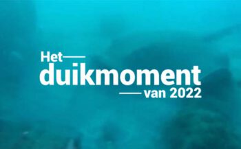 Hét duikmoment van 2022 - Rog bevrijd!