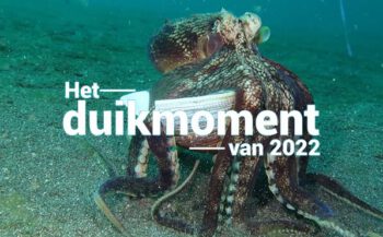 Hét duikmoment van 2022 - Wegwezen!