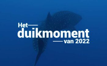 Hét duikmoment van 2022 - Encounter met een walvishaai