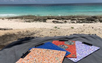 No Waste Caribbean Vibes, Bonaire