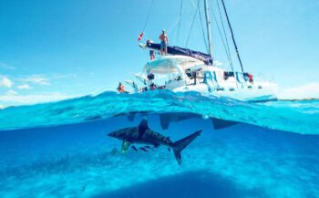 Haaiencruise in de Bahama's mét Dive Along