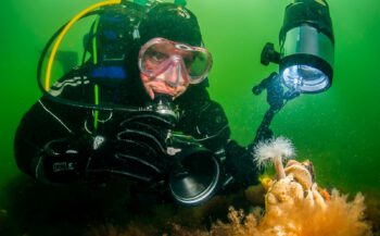 Het DuikeninBeeld-team voor ONK Onderwaterfotografie zoekt jou!