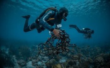 Reef Renewal Foundation Bonaire breidt capaciteit uit