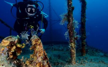 Drie tips voor duiken rond Cyprus