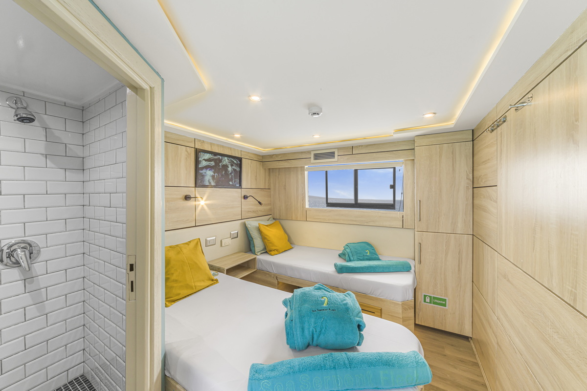 DivingWorld_SeaSerpentUpper Deck Twin bed Cabin