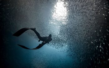 Duikmedisch webinar: freediving