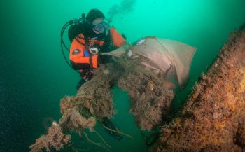 Duikers met veel afval én nieuwe diersoort terug van Noordzee