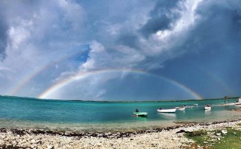 Bonaire: drie favorieten van Bart Snelder