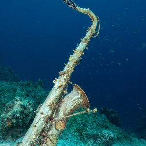 Saxofoon van Playa Kalki