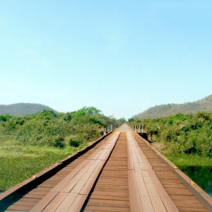 Pantanal route