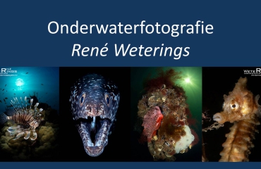 Duik in de onderwaterfotografie met René Weterings