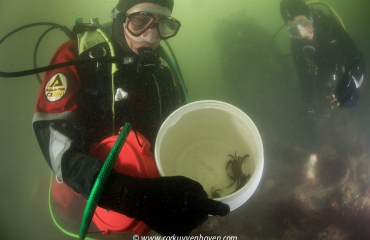 Ook Nederlands onderwaterleven op AquaHortus 2015
