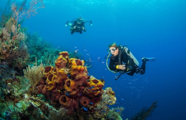 Vijf vragen over de duikmedische zelfcheck