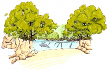 Burgers' Zoo bouwt grootste overdekte mangrove ter wereld