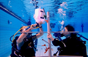 Specialty: Coral Restoration Diver... in Nederland!