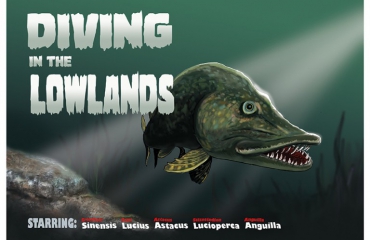 Marcel Thijs - Diving in the Lowlands, part I