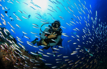 Beste reistijd voor een duikvakantie op het Great Barrier Reef?