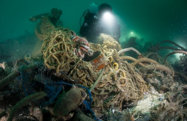 Nieuwe diersoorten en wrak van U-boot gevonden