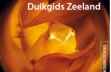Duikgidsen Zeeland, Bonaire en Curaçao verkrijgbaar op Duikvaker