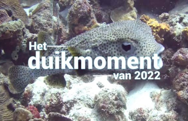 Hét duikmoment van 2022 - Bonaire