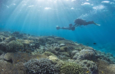 Koraalriffen bij Indonesië gezonder dan verwacht
