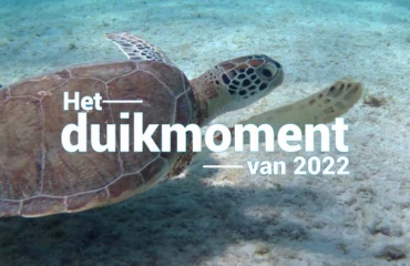 Hét duikmoment van 2022 - Schildpad bij Bonaire