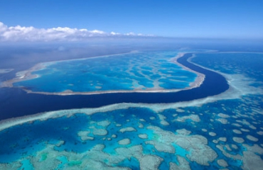 Great Barrier Reef - Voorzichtig herstel?