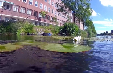 Jessica Ruijs - Onderwaternatuur in Amsterdam