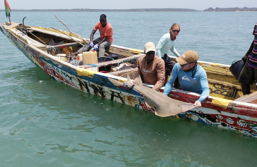 Internationaal team merkt eerste bedreigde haaien en roggen in West-Afrika