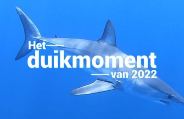 Hét duikmoment van 2022 - De mako en de blauwe haai