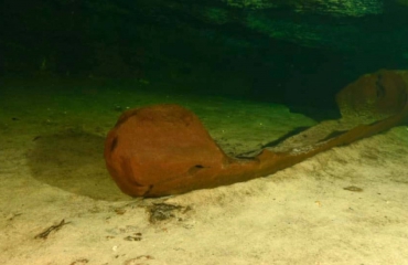 Onderwaterarcheologen vinden kano van de Maya's
