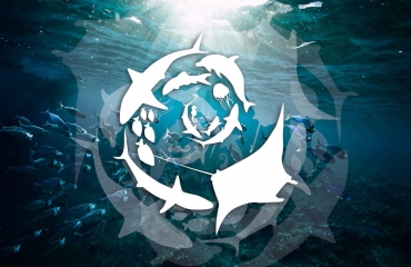 Mission Deep Blue - bescherm de oceanen