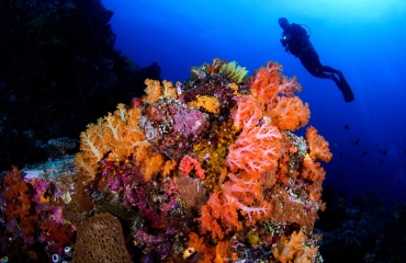 Noord-Sulawesi - De verborgen schat van Indonesië