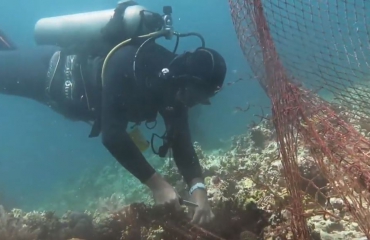 Ocean Gardeners ruimen spooknet op