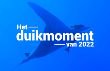 Hét duikmoment van 2022 - Manta's in de Azoren