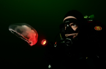 OBK Onderwaterfotografie 2020 - Juniors - Portfolio