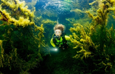 ONK Onderwaterfotografie 2021 - Zoet water