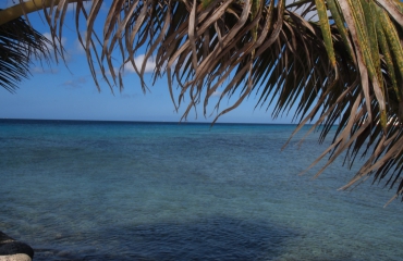 Beste reistijd voor een duikvakantie op Curaçao?